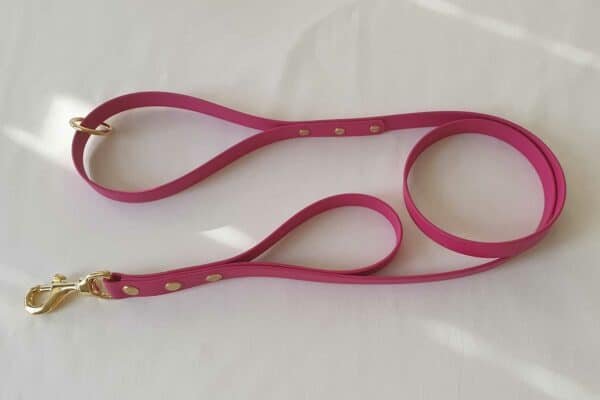 Training Lead With Street Handle - Pink