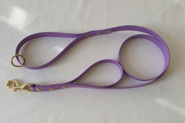 Training Lead With Street Handle - Purple